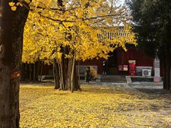 -承恩寺