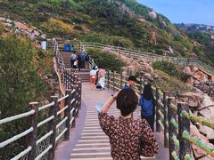 -广东惠东海龟国家级自然保护区