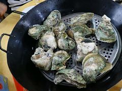 桑拿蚝-蚝专家(北滘店)