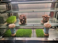 -蜀大侠火锅(四川北路店)