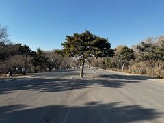 -北陵公园