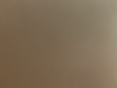 -城北食府(枫林店)