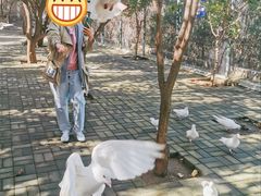 -开元溶洞