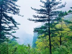 -洛阳白云山景区