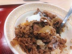 -食其家·牛丼咖喱(太阳宫店)