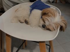-边渡咖啡烘焙店(昙华林店)