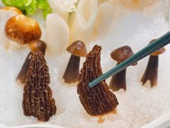 -喜聚薈·花膠雞海鮮火鍋(越秀店)