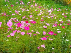 -长白山万达喜来登度假酒店