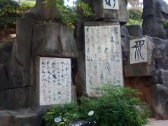-白沙古井