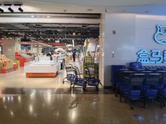 -盒马鲜生(帝斯曼店)