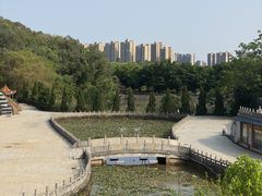 -三水森林公园