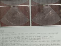 -宠爱国际动物医院·消化内科·心肾内科·ISFM猫友好(望京店)