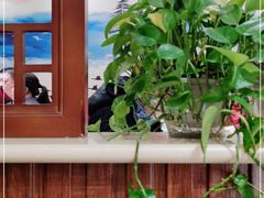 -华盛园卷子王农家菜水库鱼