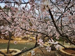 -北京西山国家森林公园