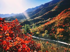 -水峪民俗村