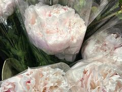 -循礼门鲜花花市(武汉循礼门店)