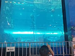 -乐从天佑城海洋馆