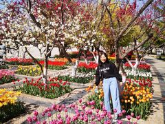 -石家庄市植物园