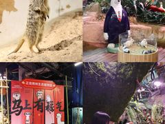 -正佳雨林生态植物园