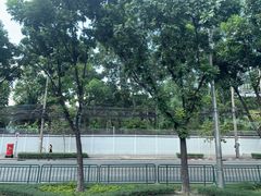 -光海鲜鱼翅餐厅(叻差拉披色路店)