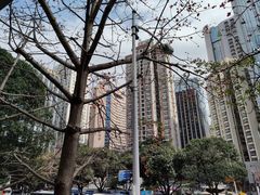 -东门町美食街