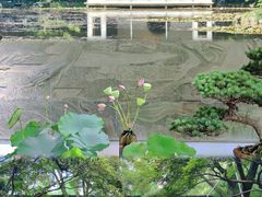 -杭州植物园