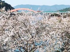 -广州市流溪河国家森林公园