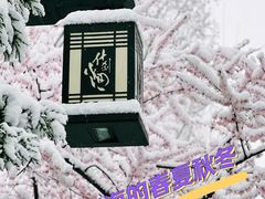 -什刹海