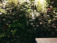 -引领英语·成人口语·雅思托福