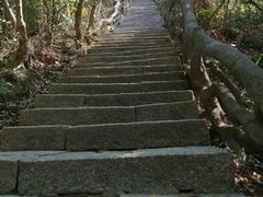 -梧桐山风景名胜区