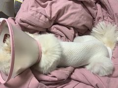 -太原东方动物医院(小店分院)