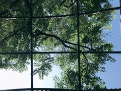 -zarah(鼓楼店)
