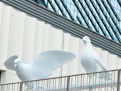 -深圳湾万象城(南山店)