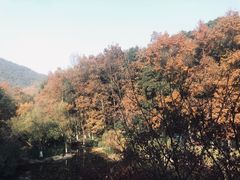 -杭州半山国家森林公园