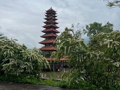 -美心红酒小镇游乐园