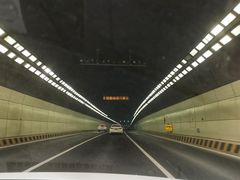 -胶州湾海底隧道