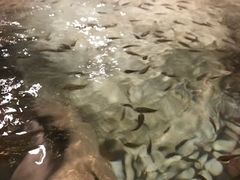 -中铁花水湾温泉酒店(大邑店)