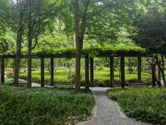 -徐家汇源景区-衡山公园