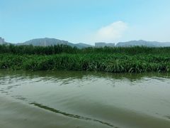 -长兴太湖图影湿地文化园