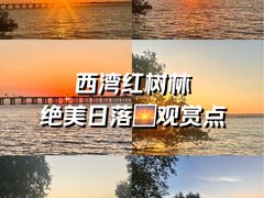 -宝安西湾红树林湿地公园