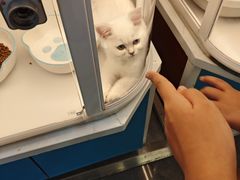 -万达广场(北京槐房店)