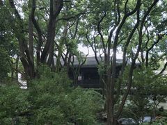 -上海醉白池公园