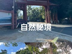 -霸王岭国家森林公园