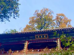 -潭柘寺景区
