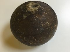 -志龙皇冠吃货椰子铺