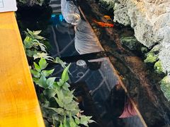 -西归浦每天偶来市场