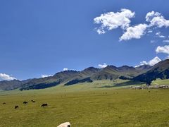 -新疆那拉提国家旅游度假区