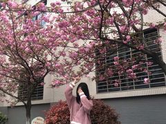 -武汉大学-樱园
