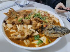 -煲来饱去冷水鱼