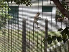 -槟城植物园